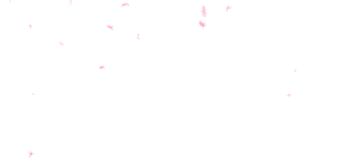 Animated petals background